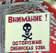 В БУ «Нефтеюганская районная больница» провели внеочередное обучение по вопросам профилактики сибирской язвы.